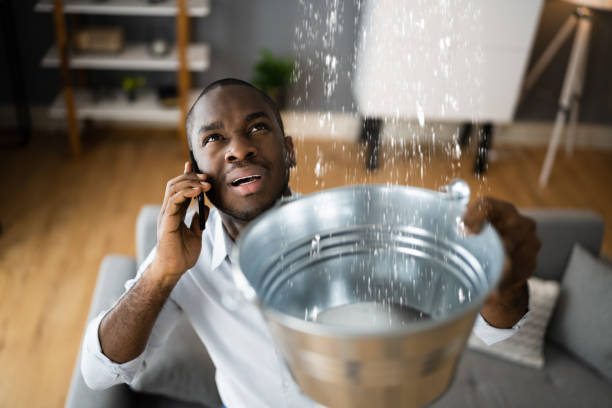 Best Water damage repair service  in USA